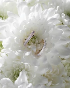 Bijou Brigitte Creolen|Ohrringe Gold>Creolen - Dazzling Spark gold