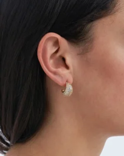 Bijou Brigitte Creolen|Chunky Hoops>Creolen - Iced gold