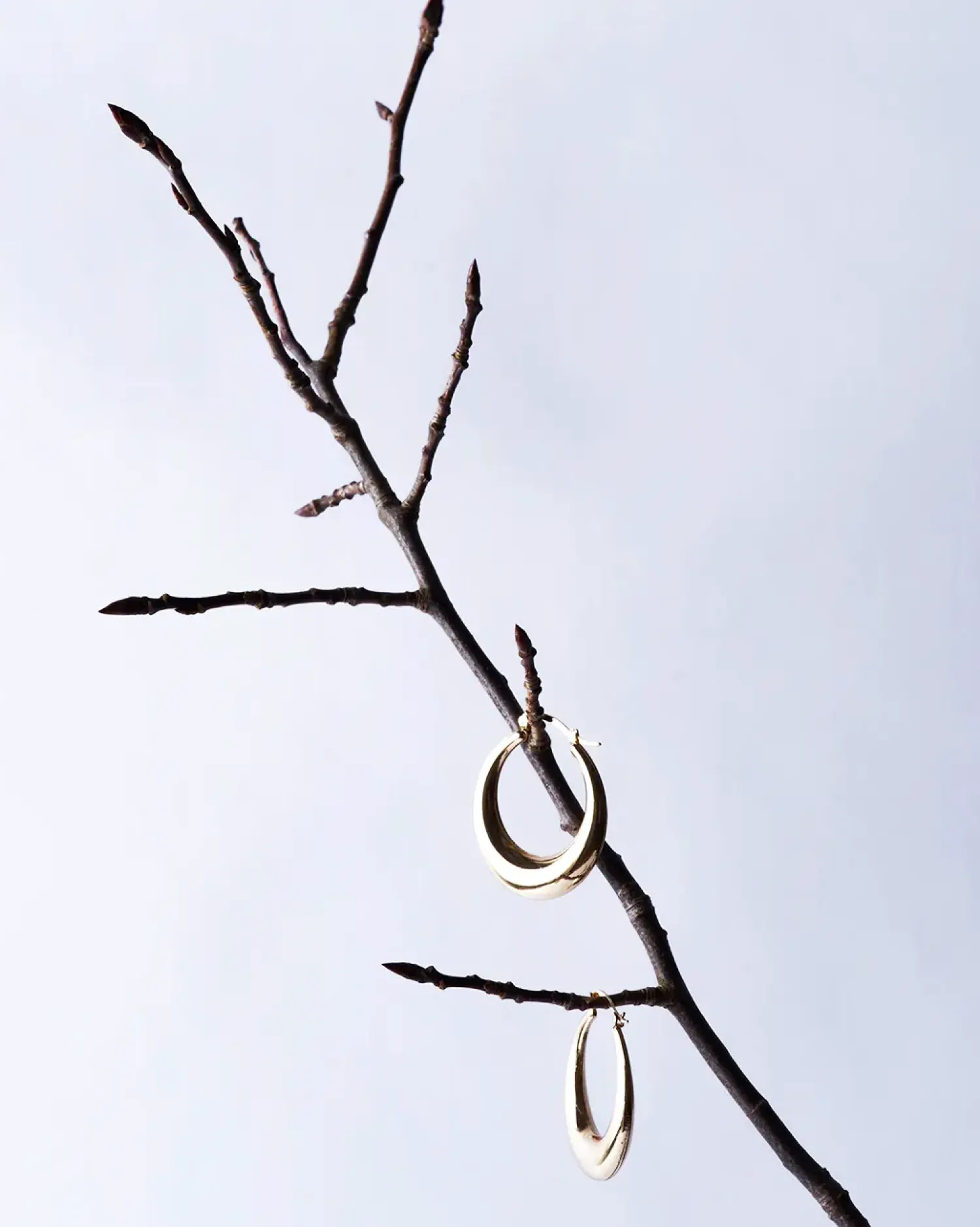 Bijou Brigitte Creolen|Ohrringe Gold>Creolen - Timeless Basic gold