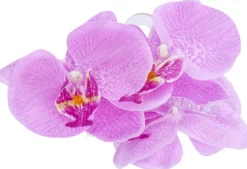 Bijou Brigitte Haarklammern>Haarklammer - Purple Orchid lila