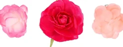 Bijou Brigitte Haarspangen>Haarspangen-Set - Flowers pink