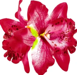 Bijou Brigitte Haarspangen><noscript><img width=