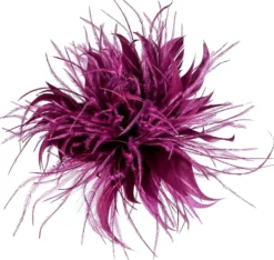 Bijou Brigitte Haarspangen|Broschen><noscript><img width=