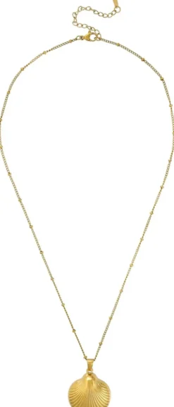 Bijou Brigitte Edelstahlschmuck In Gold|Muschelschmuck>Kette - Elegant Shell gold