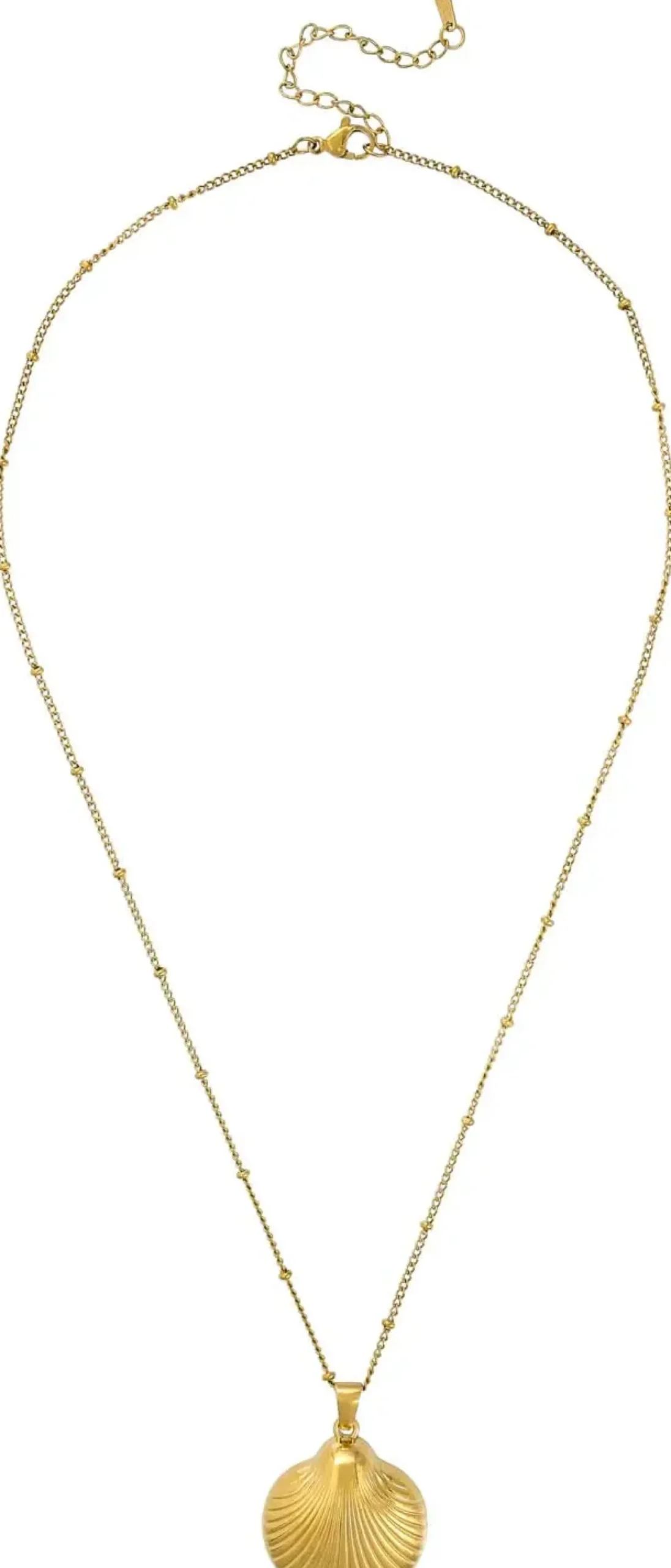 Bijou Brigitte Edelstahlschmuck In Gold|Muschelschmuck>Kette - Elegant Shell gold