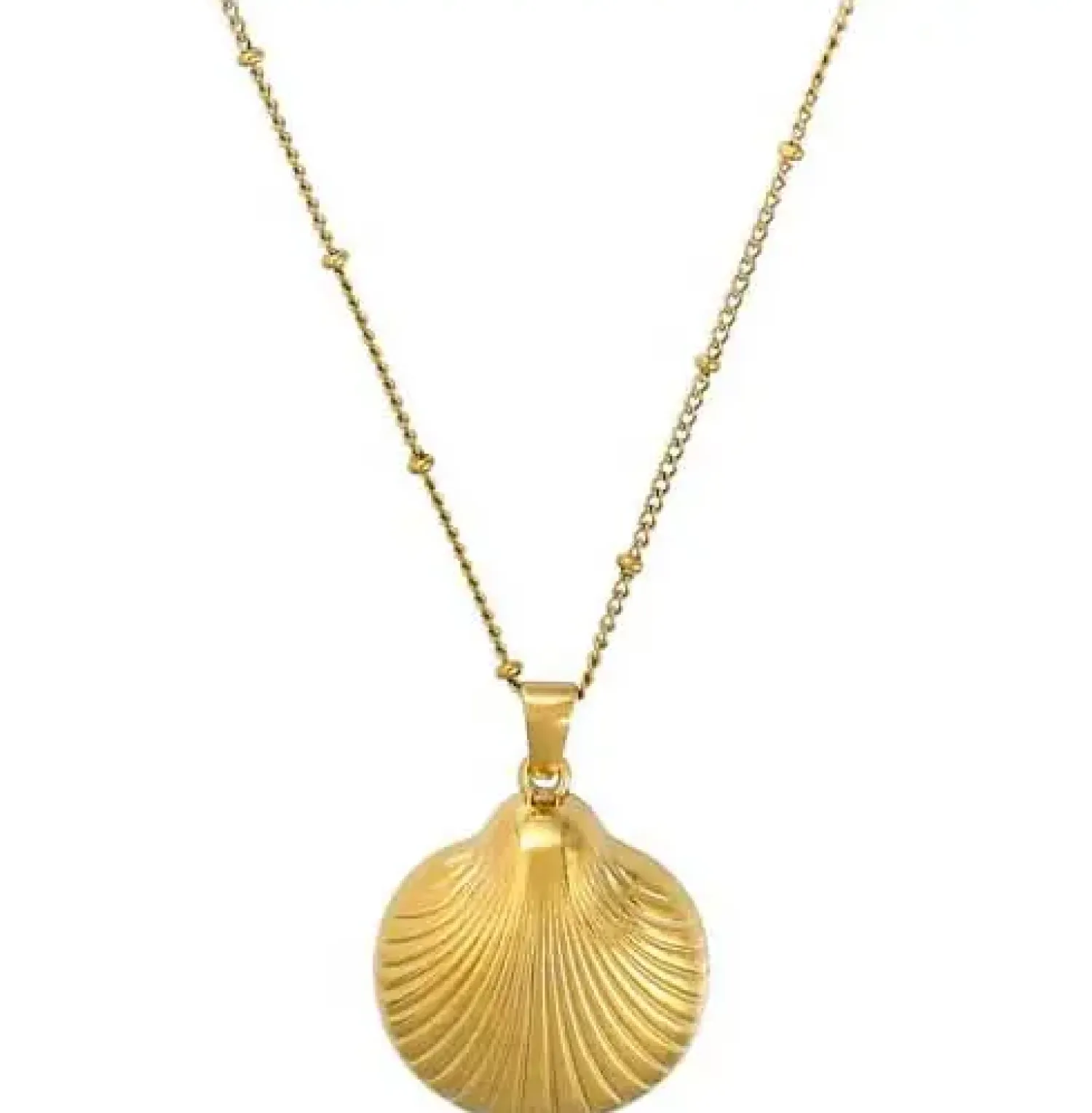 Bijou Brigitte Edelstahlschmuck In Gold|Muschelschmuck>Kette - Elegant Shell gold