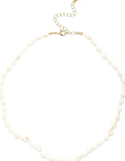 Bijou Brigitte Maritimer Schmuck|Muschelschmuck>Kette - Real Shells weiß
