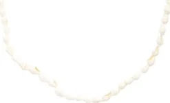 Bijou Brigitte Maritimer Schmuck|Muschelschmuck>Kette - Real Shells weiß