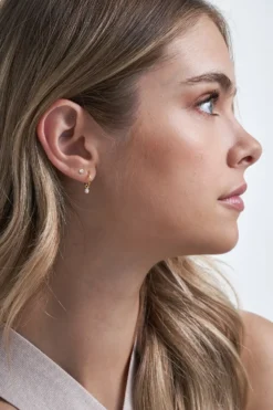 Bijou Brigitte Silver Crystals|Ohrstecker>Ohr-Set - Plated gold