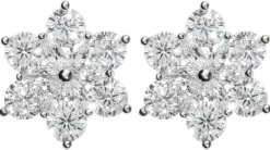 Bijou Brigitte Brautohrringe|Brautschmuck>Ohrstecker - Beauty Love silber