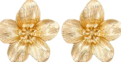 Bijou Brigitte Ohrringe Gold|Blumenschmuck>Ohrstecker - Blossom Glow gold