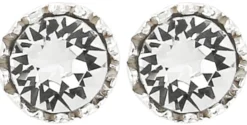 Bijou Brigitte Ohrringe 925Er Silber|Ohrringe 925Er Silber>Ohrstecker - Fine Crystal silber