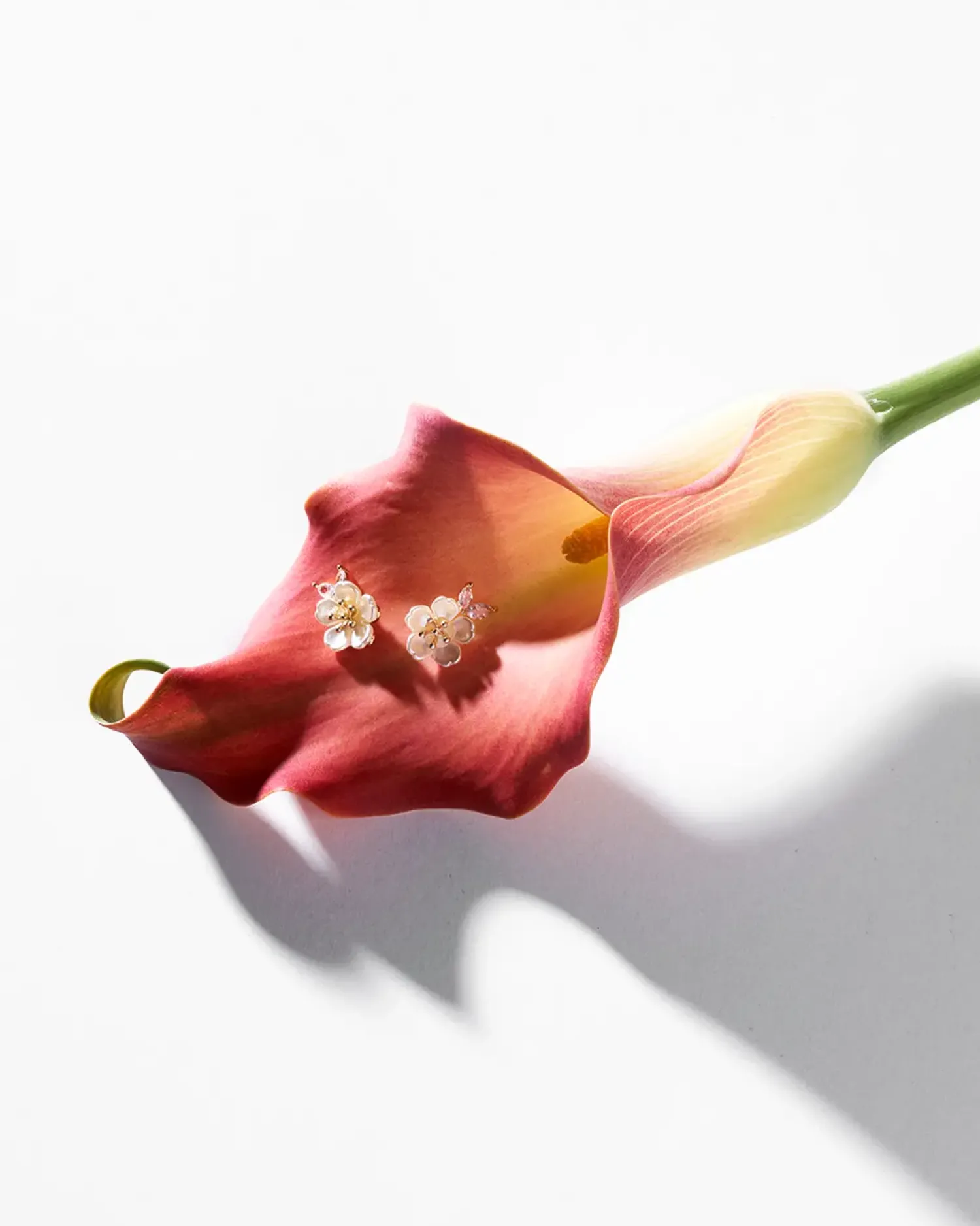 Bijou Brigitte Blumenschmuck|Ohrstecker>Ohrstecker - Noble Blossom weiß