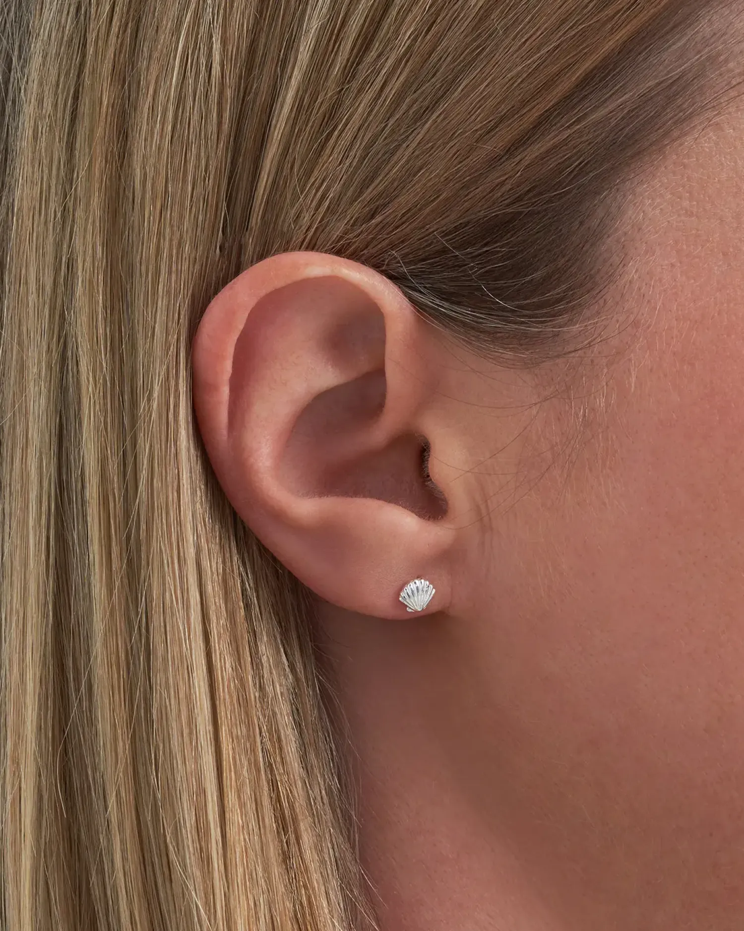 Bijou Brigitte Ohrstecker|Ohrringe 925Er Silber>Ohrstecker - Silver Shell silber