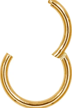 Bijou Brigitte Piercings Gold|Nasenpiercings>Piercing - Basic gold