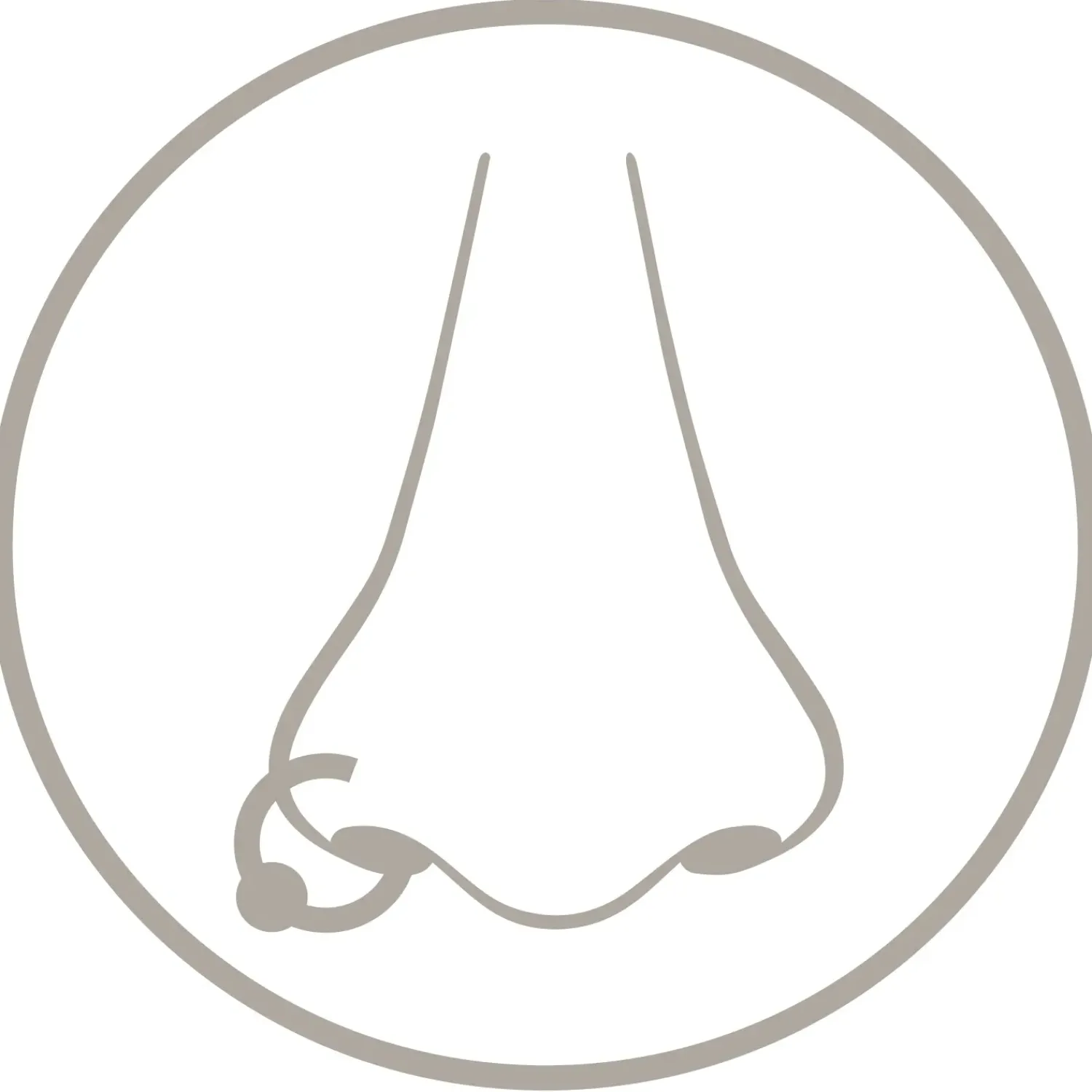 Bijou Brigitte Piercings Silber|Nasenpiercings>Piercing-Set - Sparkling Zirconia silber