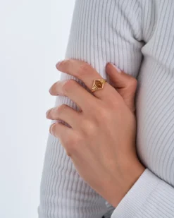 Bijou Brigitte Ringe 925Er Silber|Ringe Gold>Ring – Perfect Amber gold, orange